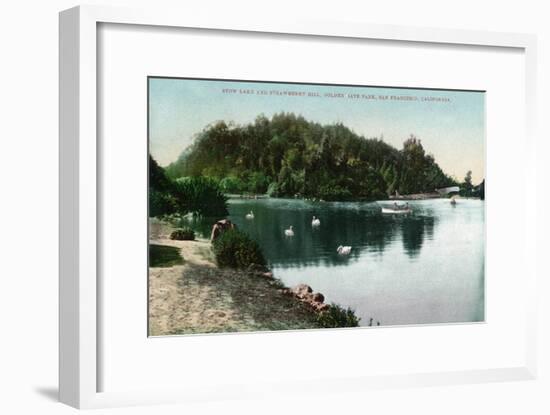 San Francisco, California - Golden Gate Park, Strawberry Hill and Stow Lake-Lantern Press-Framed Art Print