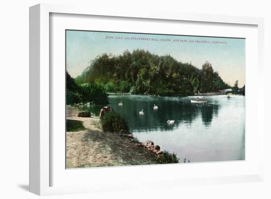 San Francisco, California - Golden Gate Park, Strawberry Hill and Stow Lake-Lantern Press-Framed Art Print