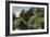 San Francisco, California - Golden Gate Park, View of Alvin Lake-Lantern Press-Framed Art Print