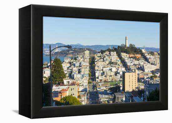 San Francisco, California, hills of the city and Coit Tower in sunshine.-Bill Bachmann-Framed Premier Image Canvas