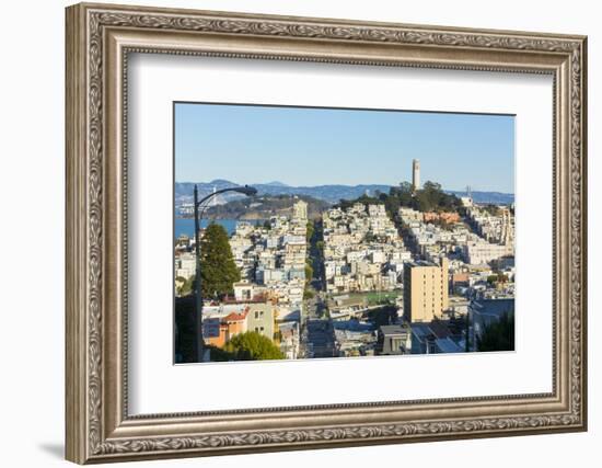 San Francisco, California, hills of the city and Coit Tower in sunshine.-Bill Bachmann-Framed Photographic Print