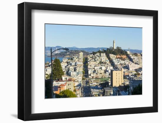 San Francisco, California, hills of the city and Coit Tower in sunshine.-Bill Bachmann-Framed Photographic Print