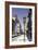 San Francisco Chinatown-null-Framed Giclee Print