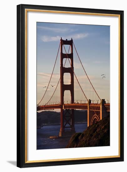 San_Francisco_D260-Craig Lovell-Framed Photographic Print