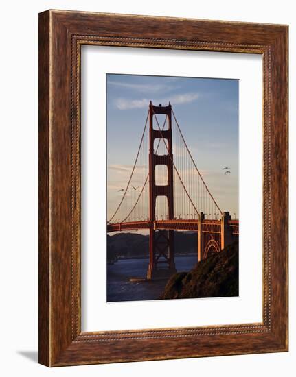 San_Francisco_D260-Craig Lovell-Framed Photographic Print