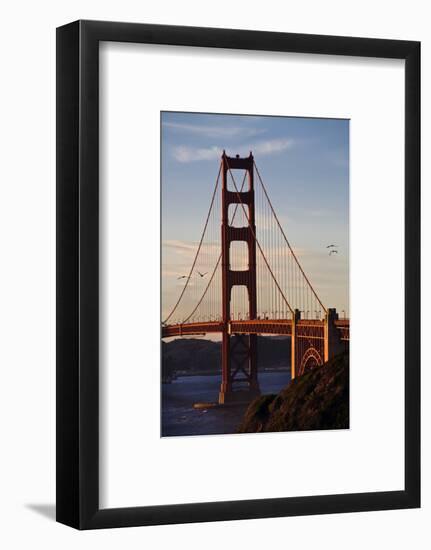 San_Francisco_D260-Craig Lovell-Framed Photographic Print