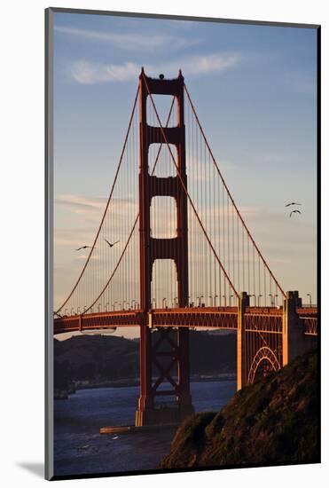 San_Francisco_D260-Craig Lovell-Mounted Photographic Print