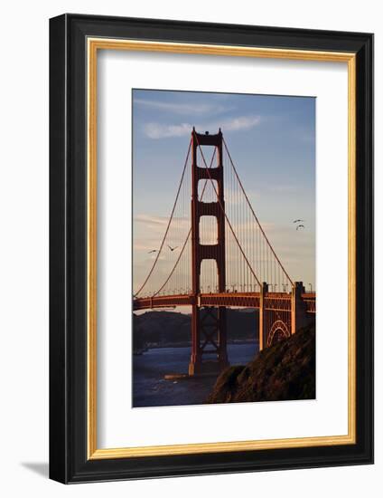 San_Francisco_D260-Craig Lovell-Framed Photographic Print