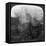 San Francisco Earthquake-null-Framed Premier Image Canvas