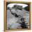 San Francisco Earthquake-null-Framed Premier Image Canvas