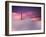 San Francisco Fog-Philippe Sainte-Laudy-Framed Photographic Print