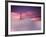 San Francisco Fog-Philippe Sainte-Laudy-Framed Photographic Print