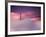 San Francisco Fog-Philippe Sainte-Laudy-Framed Photographic Print