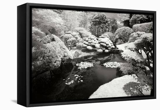 San Francisco Garden I-George Johnson-Framed Premier Image Canvas