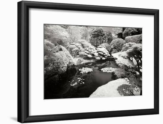 San Francisco Garden I-George Johnson-Framed Photographic Print