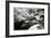 San Francisco Garden I-George Johnson-Framed Photographic Print