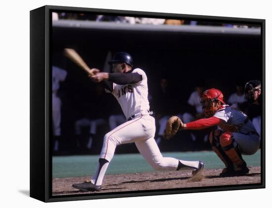 San Francisco Giants Willie Mays at Bat, Cincinnati Reds Catcher Johnny Bench Behind the Plate-John Dominis-Framed Premier Image Canvas