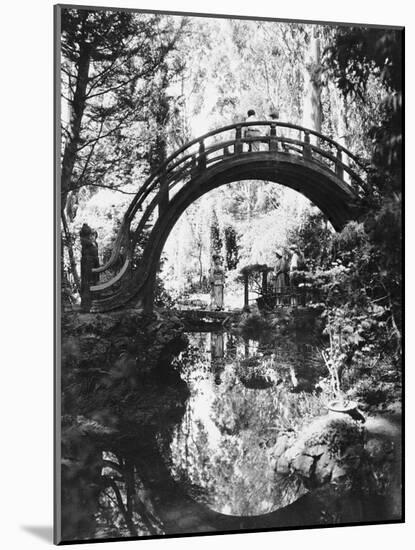 San Francisco Golden Gate Park-null-Mounted Photographic Print