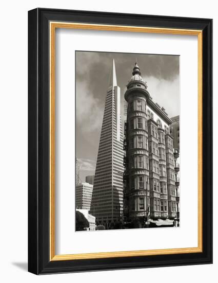 San Francisco Iconic Buildings-Christian Peacock-Framed Art Print