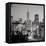 San Francisco Skyline #1-Alan Blaustein-Framed Stretched Canvas