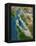 San Francisco-PLANETOBSERVER-Framed Premier Image Canvas