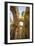 San Galgano Church, Chiusdino, Tuscany, Italy-Ian Shive-Framed Photographic Print