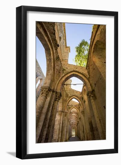 San Galgano Church, Chiusdino, Tuscany, Italy-Ian Shive-Framed Photographic Print
