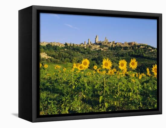 San Gimignano and Field of Sunflowers, Tuscany, Italy-Bruno Morandi-Framed Premier Image Canvas