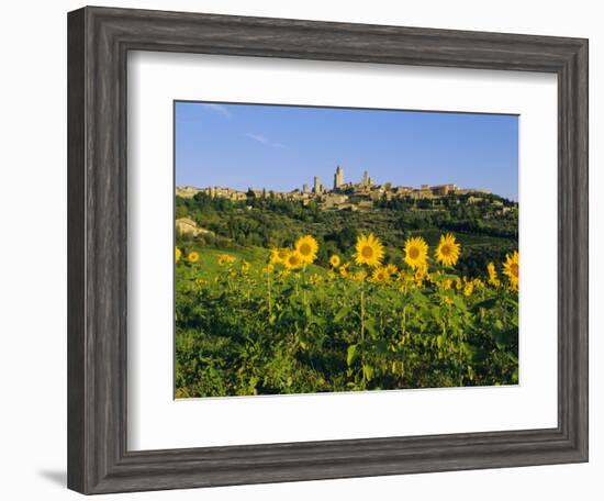 San Gimignano and Field of Sunflowers, Tuscany, Italy-Bruno Morandi-Framed Photographic Print