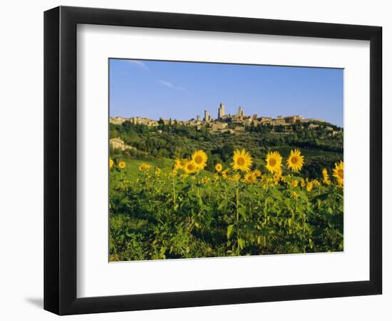 San Gimignano and Field of Sunflowers, Tuscany, Italy-Bruno Morandi-Framed Photographic Print