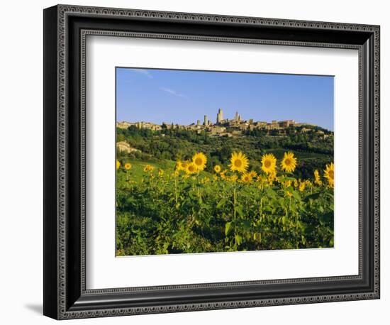 San Gimignano and Field of Sunflowers, Tuscany, Italy-Bruno Morandi-Framed Photographic Print