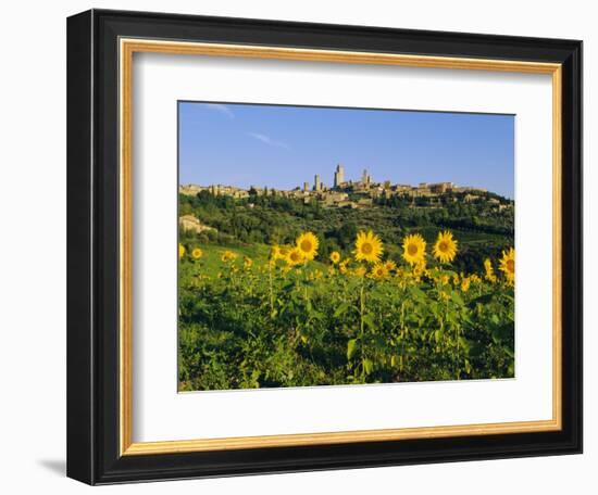 San Gimignano and Field of Sunflowers, Tuscany, Italy-Bruno Morandi-Framed Photographic Print