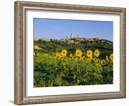 San Gimignano and Field of Sunflowers, Tuscany, Italy-Bruno Morandi-Framed Photographic Print