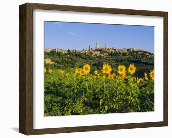 San Gimignano and Field of Sunflowers, Tuscany, Italy-Bruno Morandi-Framed Photographic Print