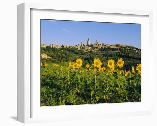 San Gimignano and Field of Sunflowers, Tuscany, Italy-Bruno Morandi-Framed Photographic Print