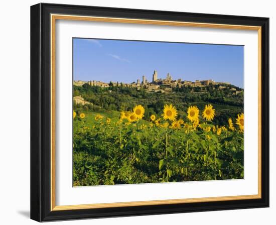 San Gimignano and Field of Sunflowers, Tuscany, Italy-Bruno Morandi-Framed Photographic Print