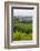 San Gimignano. Tuscany, Italy-Tom Norring-Framed Photographic Print