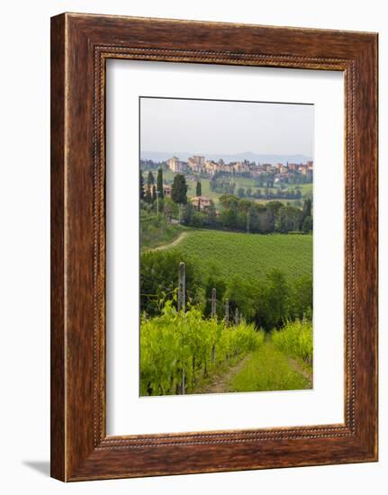 San Gimignano. Tuscany, Italy-Tom Norring-Framed Photographic Print