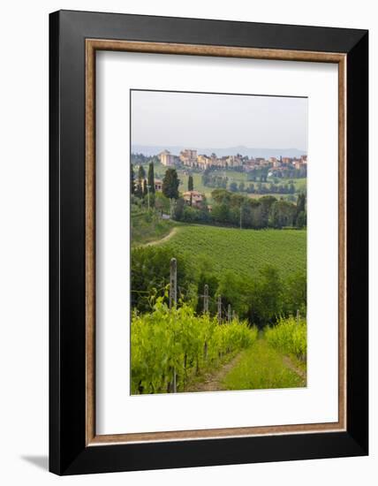 San Gimignano. Tuscany, Italy-Tom Norring-Framed Photographic Print