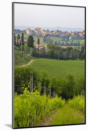 San Gimignano. Tuscany, Italy-Tom Norring-Mounted Photographic Print