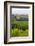 San Gimignano. Tuscany, Italy-Tom Norring-Framed Photographic Print