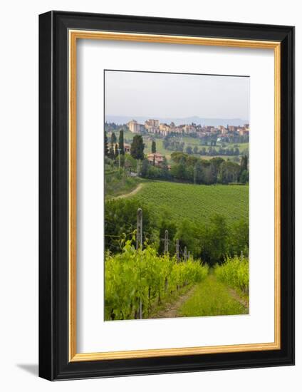 San Gimignano. Tuscany, Italy-Tom Norring-Framed Photographic Print