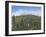 San Gimignano Tuscany-Richard Harpum-Framed Art Print