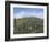 San Gimignano Tuscany-Richard Harpum-Framed Art Print