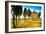 San Guido Oratorio Church and Cypress Trees. Maremma, Tuscany, Italy, Europe-stevanzz-Framed Photographic Print