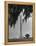 San Jacinto Memorial Top of Monument Framed by Tree Branches Encased in Spanish Moss-Alfred Eisenstaedt-Framed Premier Image Canvas