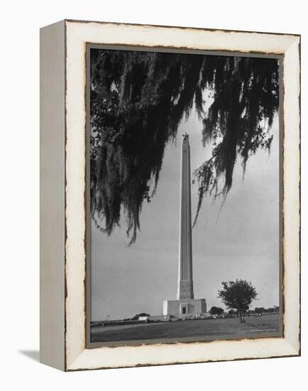 San Jacinto Memorial Top of Monument Framed by Tree Branches Encased in Spanish Moss-Alfred Eisenstaedt-Framed Premier Image Canvas