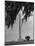 San Jacinto Memorial Top of Monument Framed by Tree Branches Encased in Spanish Moss-Alfred Eisenstaedt-Mounted Photographic Print