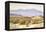 San Jacinto-Gunnar Widforss-Framed Premier Image Canvas