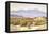 San Jacinto-Gunnar Widforss-Framed Premier Image Canvas